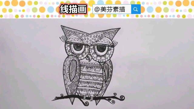 超震撼的猫头鹰线描画画法步骤介绍!儿童自学黑白线描画入门教程