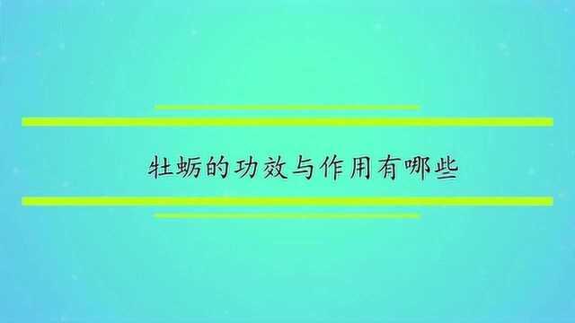 牡蛎的功效与作用有哪些