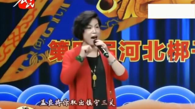 郑秀丽绝对有戏演唱河北梆子《辕门斩子》