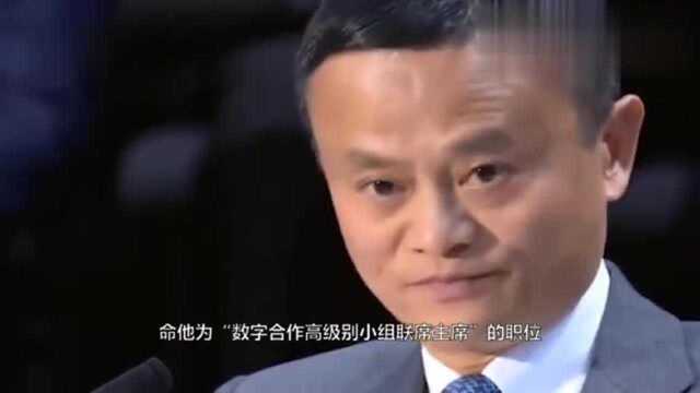 马云的隐藏身份揭秘,全国仅他有能力,网友:难怪被迫退休!