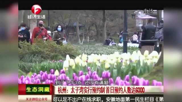 杭州:太子湾实行预约制 首日预约人数达6000