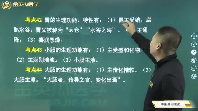 中医基础理论08肺与脾肝肾的关系,肝与脾肾的关系,胆胃小肠的功能