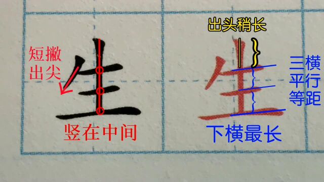 “短刀带身边,一竖站中间,长短三横坐,距离一样宽”课本生字规范书写