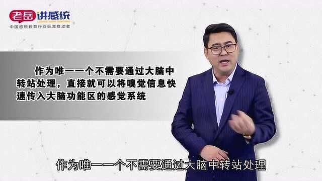 老岳讲感统——感统知识百科:感觉统合是人之所以为人的基本功能