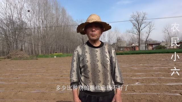 农民种地到底挣不挣钱?听听农村大爷的大实话,听完心酸