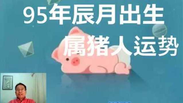 【生肖猪】1995年农历辰月出生运势