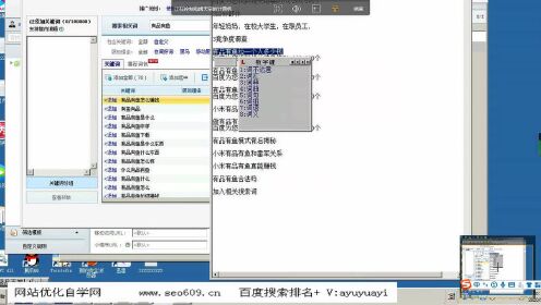 网站优化排名视频讲解