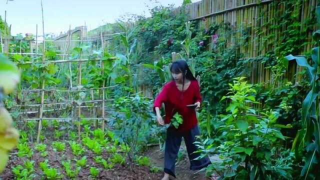 李子柒趁着雨天在地里撒下种子,雨水却把全身淋湿了,雨停后种子发芽了