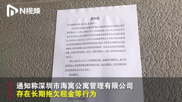 深圳一青年社区租户已付全年房租,却被要求搬离,管理公司失联