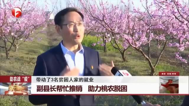 助农战“疫!” 安县副县长帮忙吆喝推销桃胶 助力桃农脱困