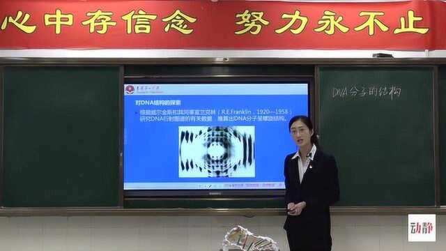 0330005高一生物DNA分子的结构