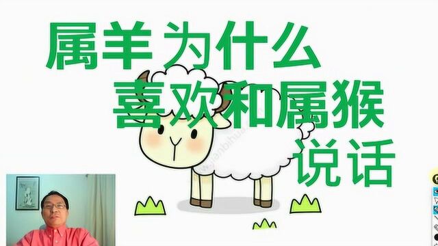 属羊人和属猴人,为什么说话投机