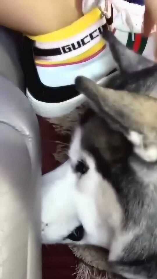 Thumbplayer Poster Plugin Image