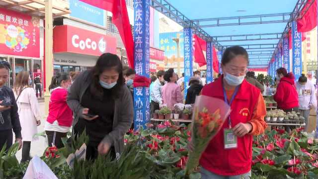 新华街助农鲜花