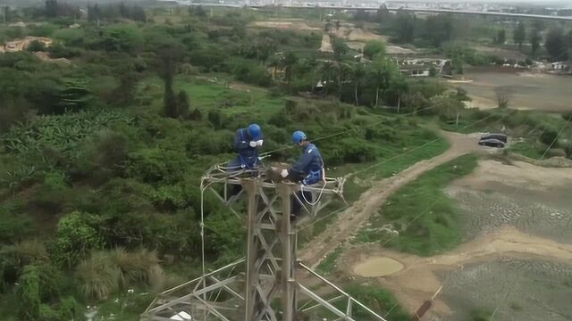 好有爱!海南电网3年内为鸟类搭建了3000套“安置房”