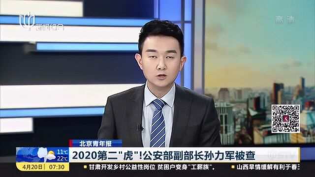 2020第二“虎”!公安部副部长孙力军被查