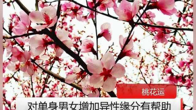 男女如何催旺桃花,增加异性缘分