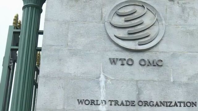 疫情之下,近80国限制口罩等物资出口,WTO:长期来看不利国内供给