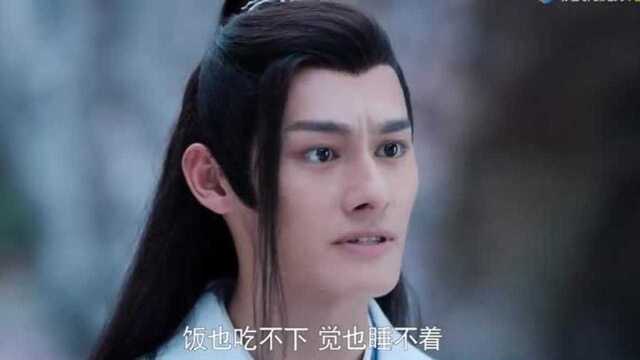 陈情令:关键时刻,魏无羡就是比蓝湛聪明很多,这一点甩蓝湛十条街