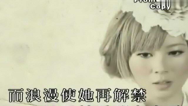 经典歌曲《花吃了这女孩》,刚一开口,便唱出了多少女人的心绪!