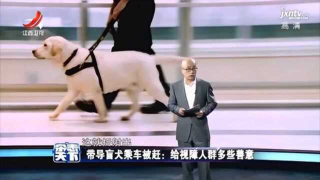 带导盲犬乘车被赶:给视障人群多些善意