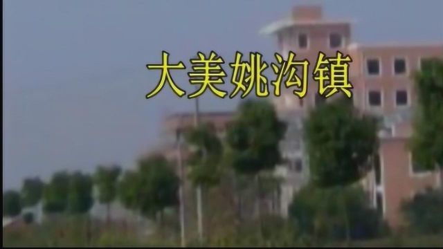 无为市姚沟镇——记得咱老家