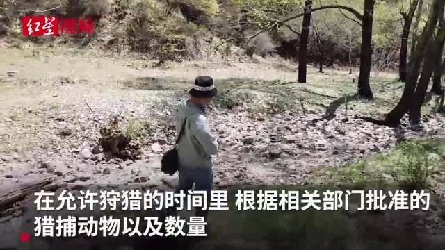 疫情下中国狩猎场生存状况:大多已停业 唯一开门的帮政府打野猪