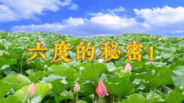 妙善师开示:六度的修持方法1