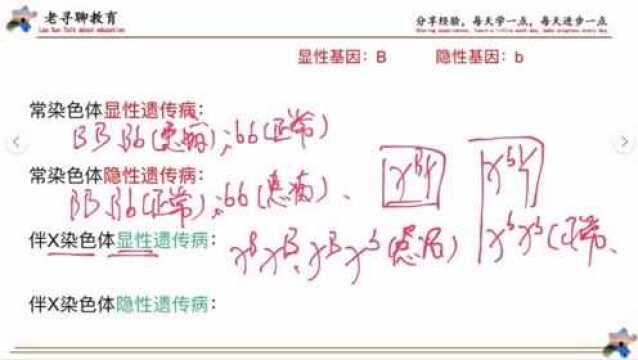 第18期高中生物,遗传题中基因型怎么写?