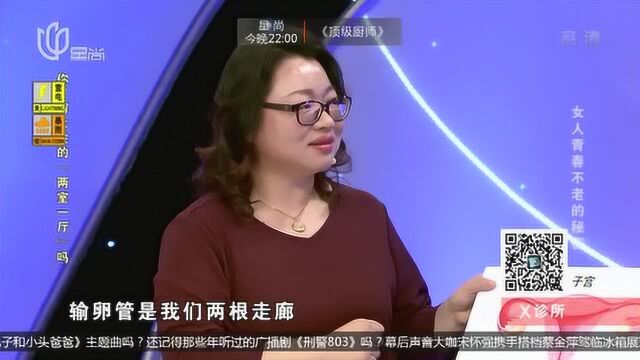 你有了解过女性的卵巢吗?专家结合图片进行讲解,多了解下吧