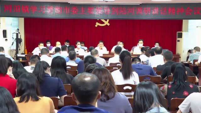 0529河田镇开展专题学习会