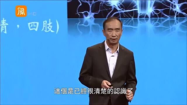 大脑是怎样反应痛觉的?看完工作原理后,终于明白了