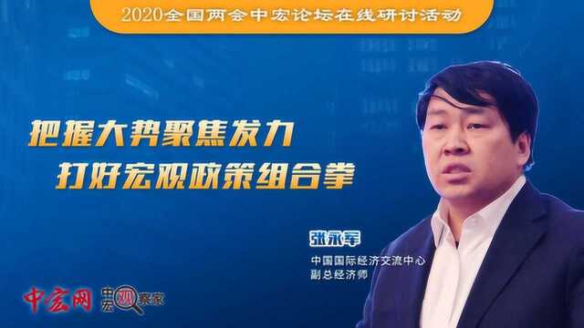 把握大势聚焦发力,打好宏观政策组合拳中宏观察家 张永军