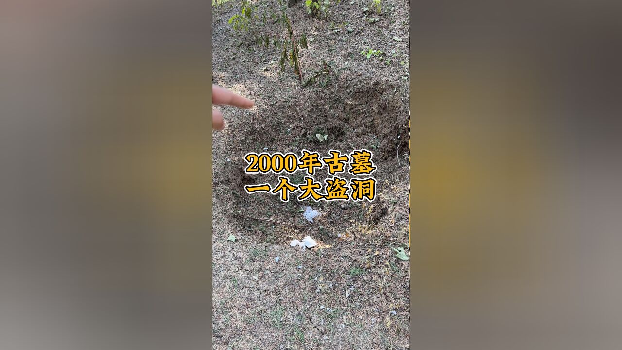 在安徽宿州找到一座古墓,一个大盗洞,观山干的!