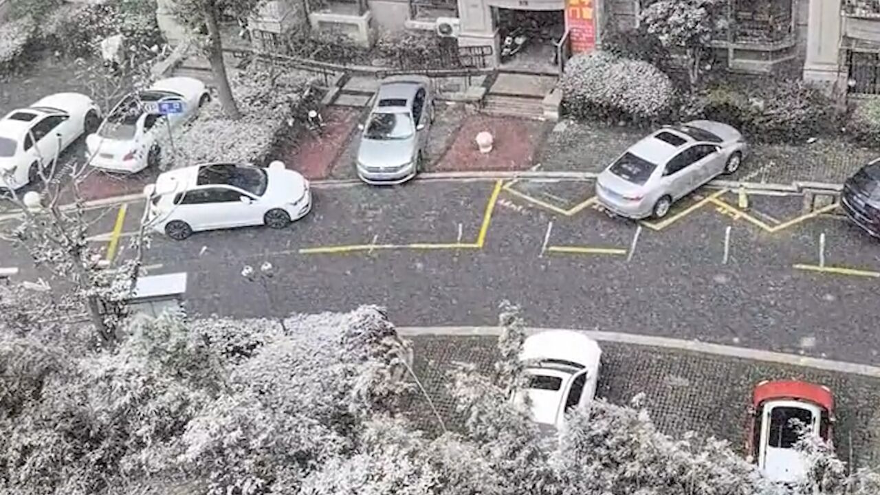 上海多地出现小雪或小雨夹雪 正式加入龙年下雪群聊!