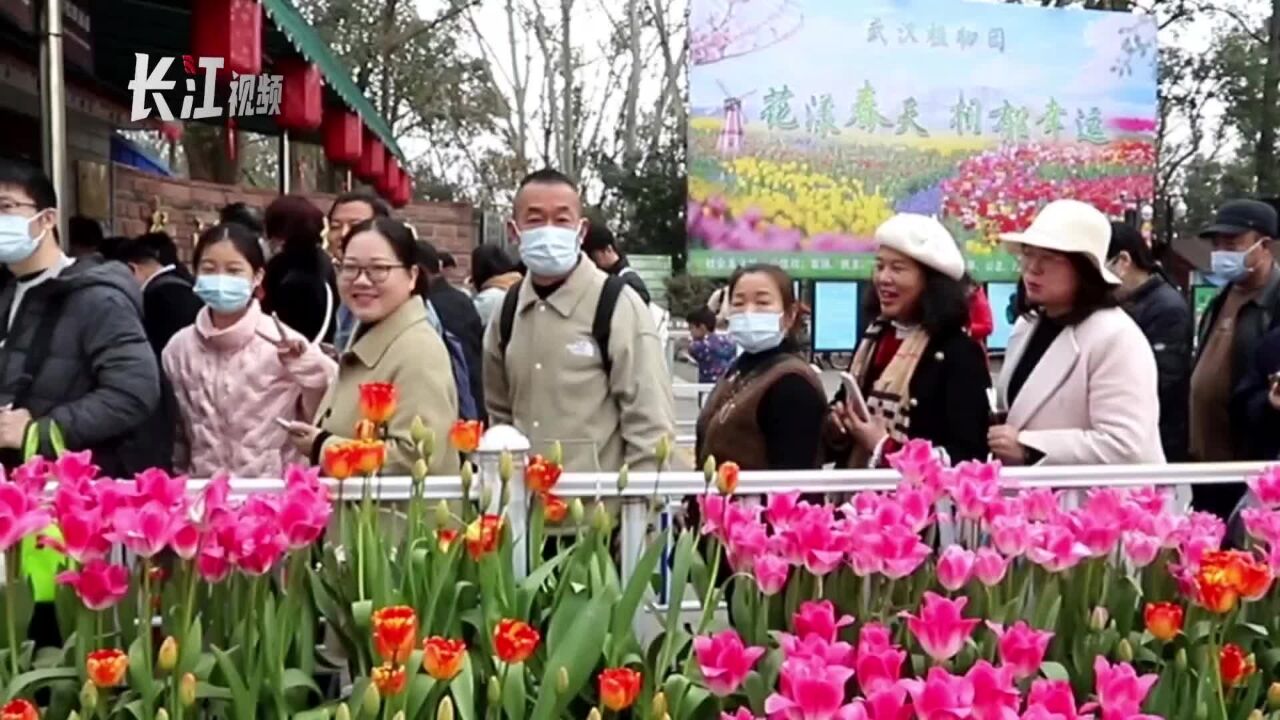 周末植物园里市民赏花踏青