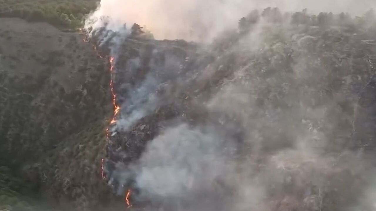 山西交城一地发生山火 当地正组织相关部门扑救