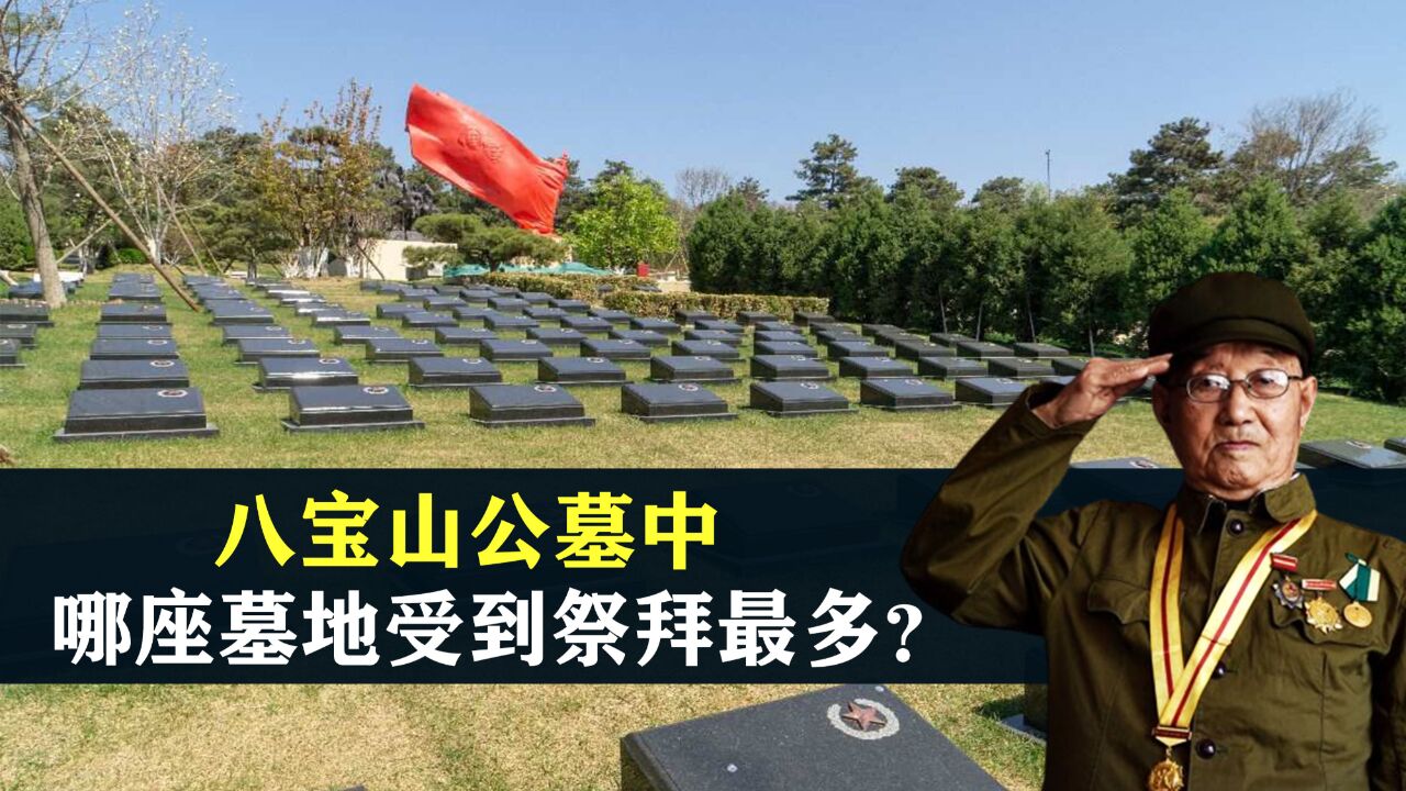 忠魂埋骨地,万年柏长青!八宝山公墓中,哪座墓地受到祭拜最多?