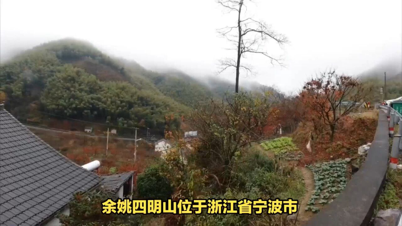 余姚四明山景点介绍,比庐山还美!避暑胜地等你来探秘!