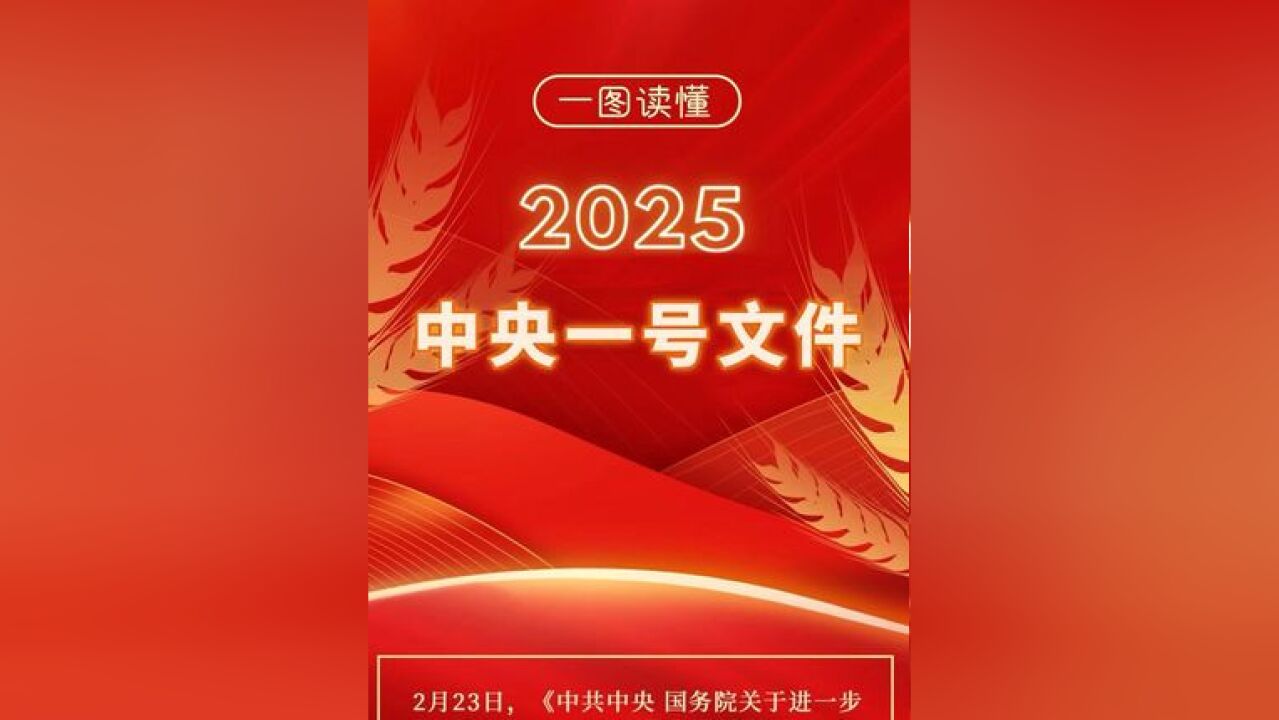 一图读懂2025中央一号文件