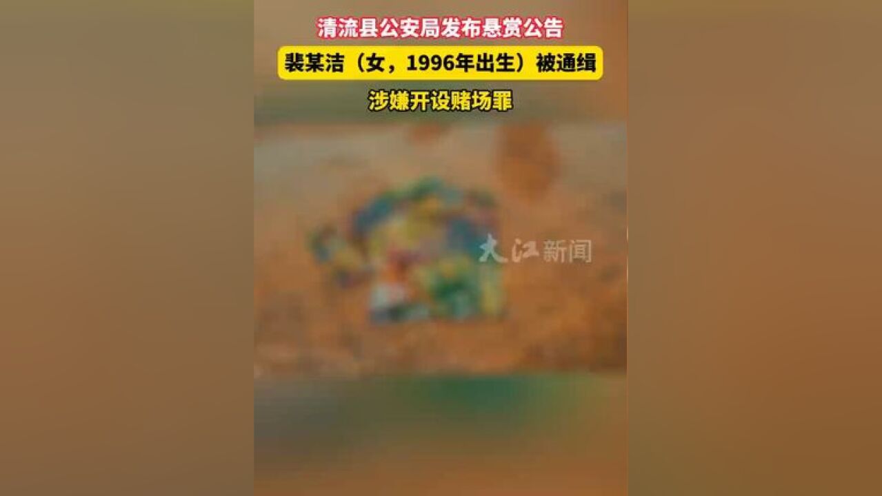 近日,福建省三明市清流县公安局发布悬赏公告,悬赏通缉10名在逃人员.其中,裴某洁(女,1996年出生)被通缉,涉嫌开设赌场罪!