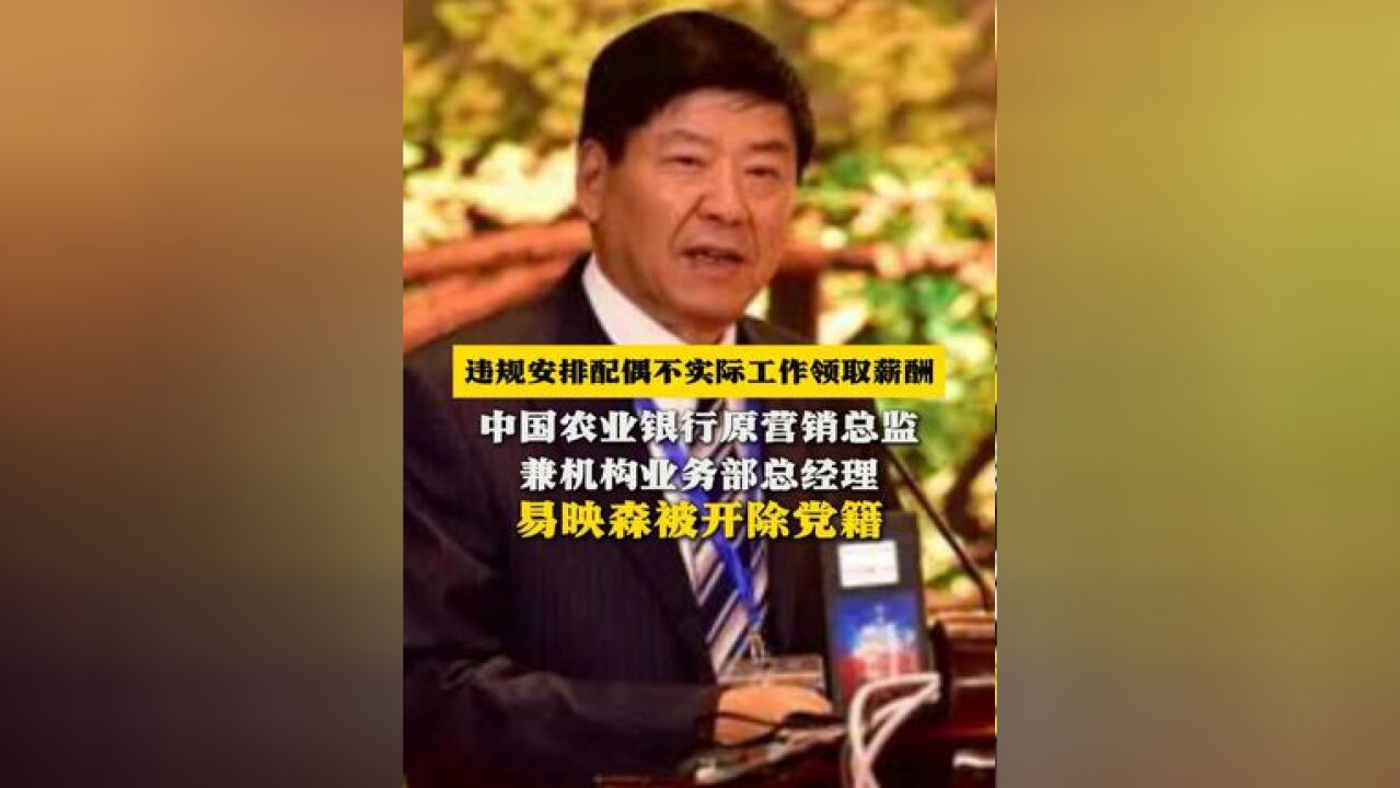 违规安排配偶不实际工作领取薪酬!中国农业银行原营销总监兼机构业务部总经理易映森被开除党籍