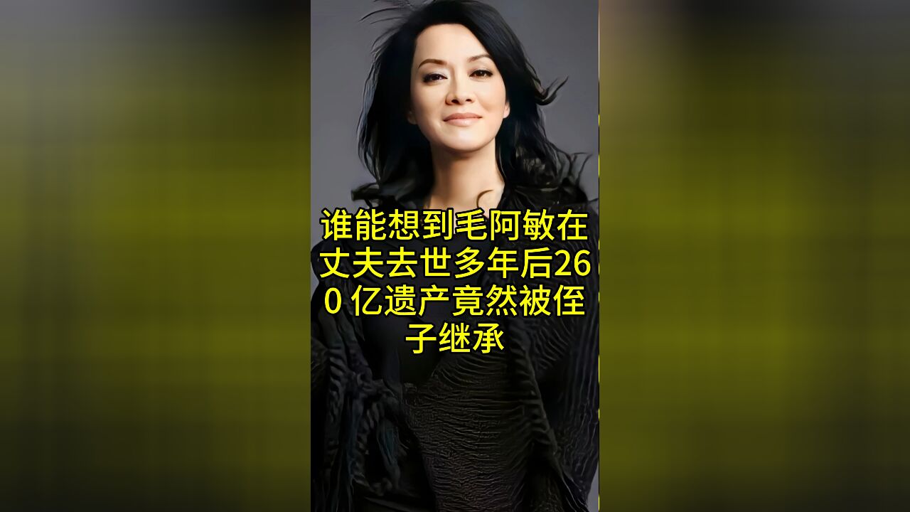 毛阿敏在丈夫去世多年后,260 亿遗产竟然被侄子继承