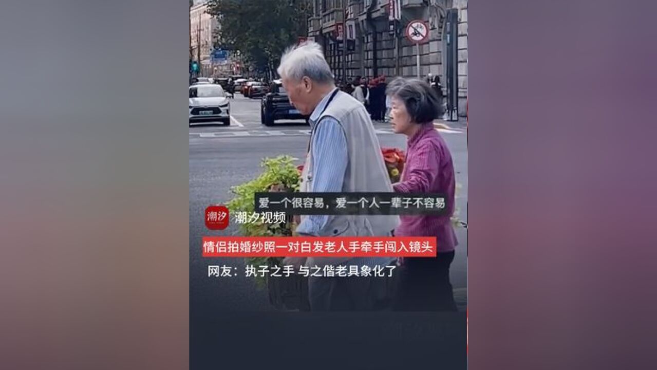 情侣拍婚纱照一对白发老人手牵手闯入镜头.网友:执子之手,与之偕老具象化了.(来源:河南公共频道)