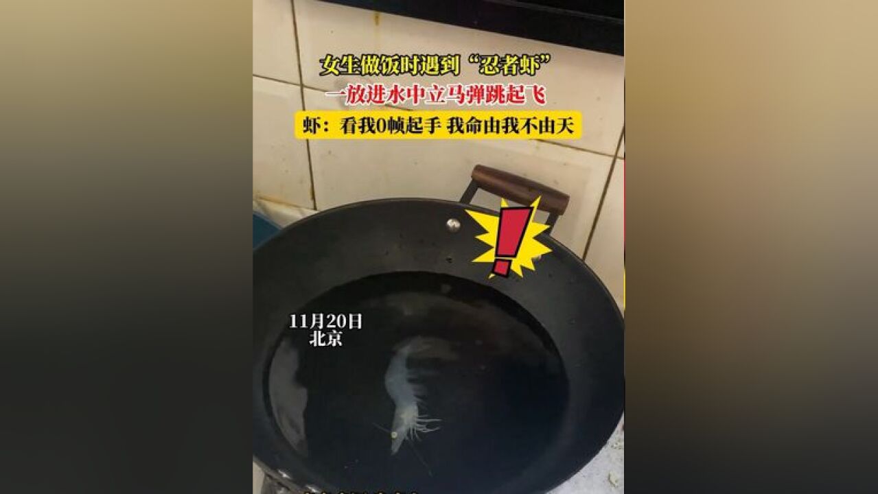 女生做饭时遇到“忍者虾”,一放进水中立马弹跳起飞,虾:看我0帧起手,我命由我不由天