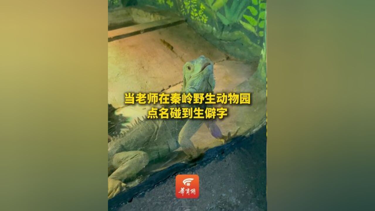 啊……老师最害怕的事情还是发生了