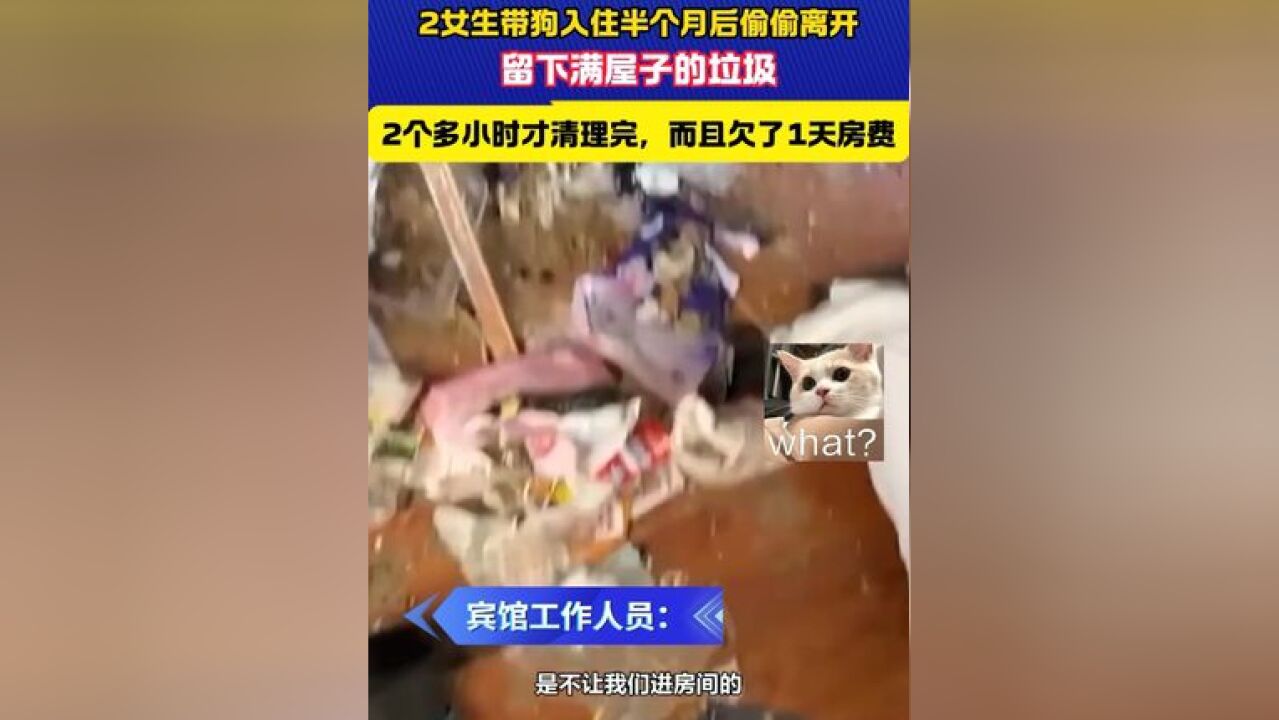 2个女生带宠物狗入住半个月后偷偷离开,留下满屋子的垃圾…… #离谱