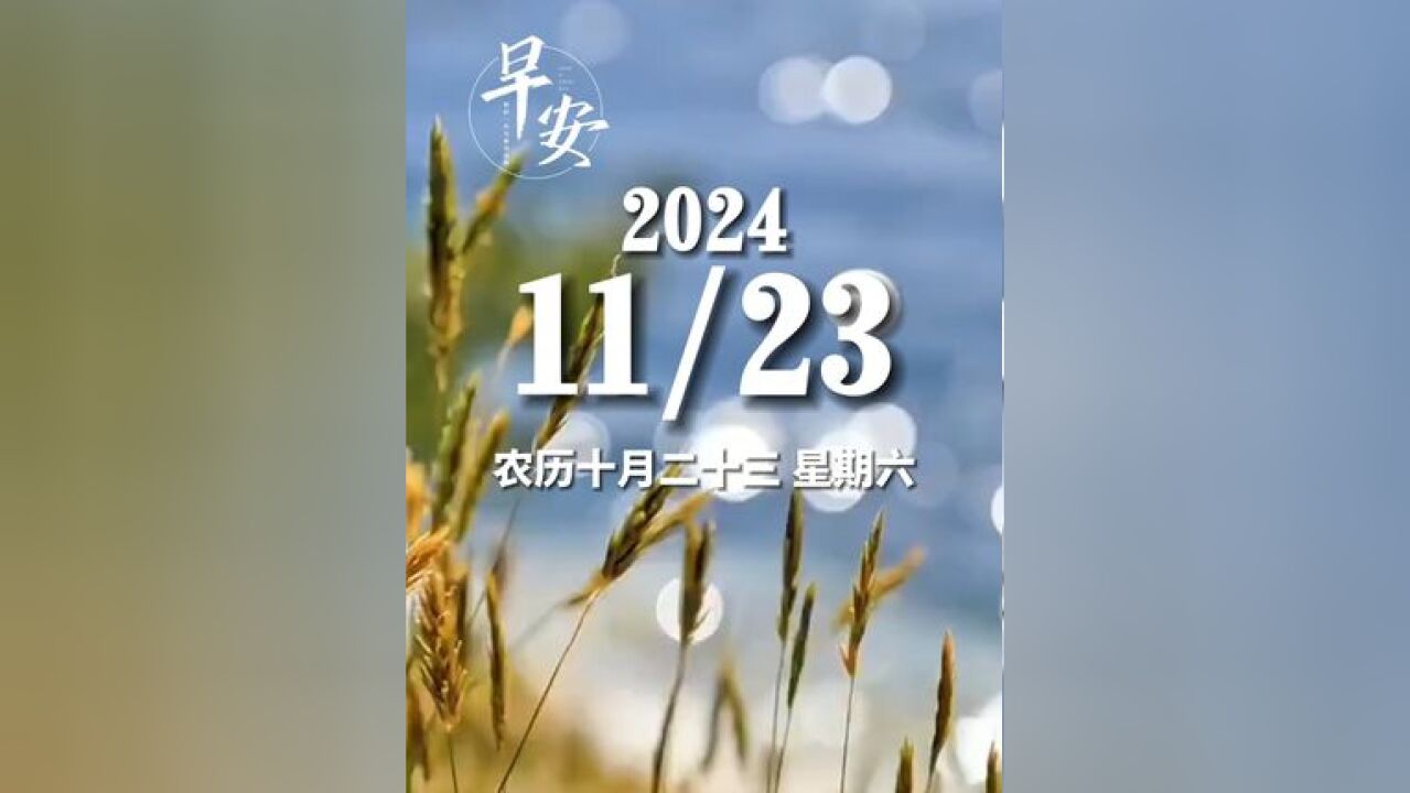 早安青岛 今天是11月23日 星期六 早安 未来的答案,就写在你度过的每一个今天