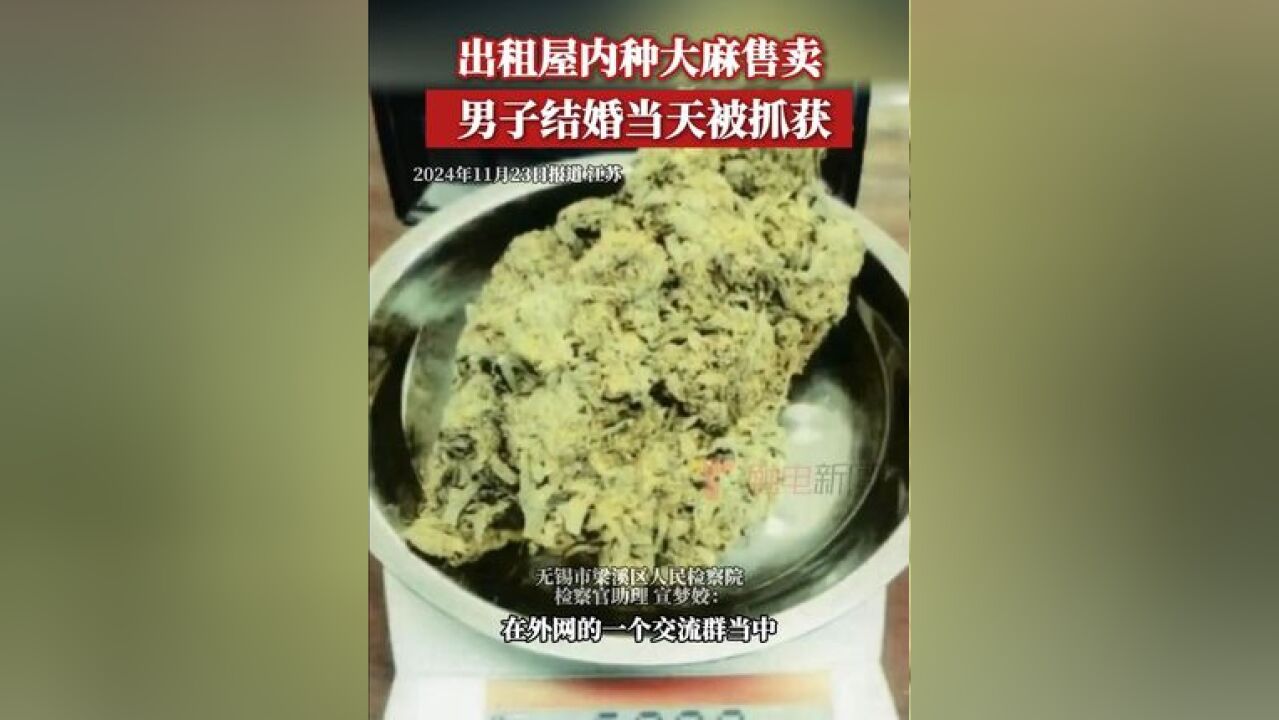 韩某某历经6个月收获了280克左右可供吸食的大麻,之后,韩某某向张某某贩卖大麻59.08克,获利6450元,近日,检察机关...