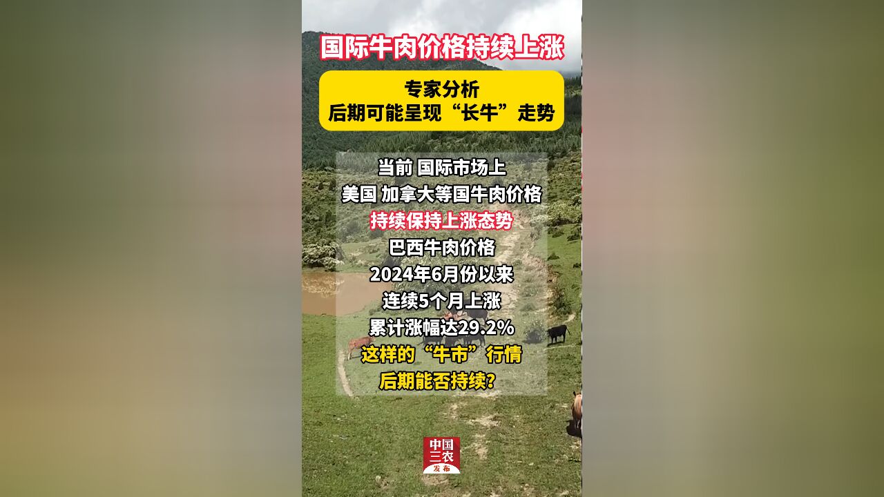 国际牛肉价格持续上涨 专家分析:后期可能呈现“长牛”走势